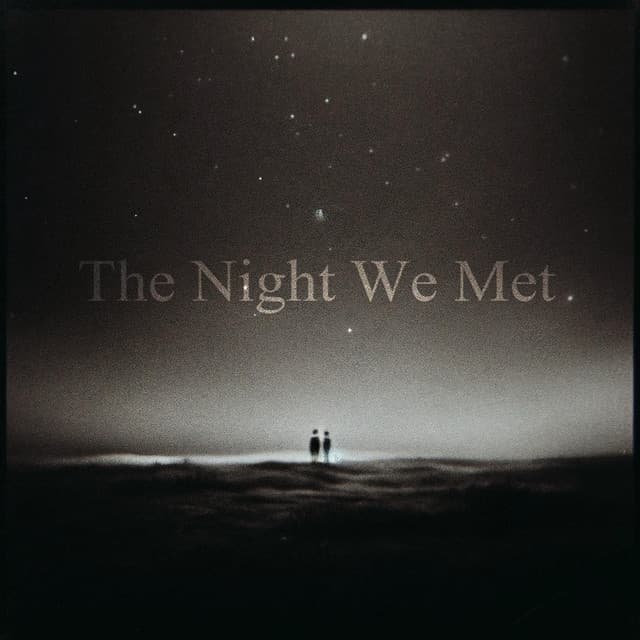 The Night We Met cover art